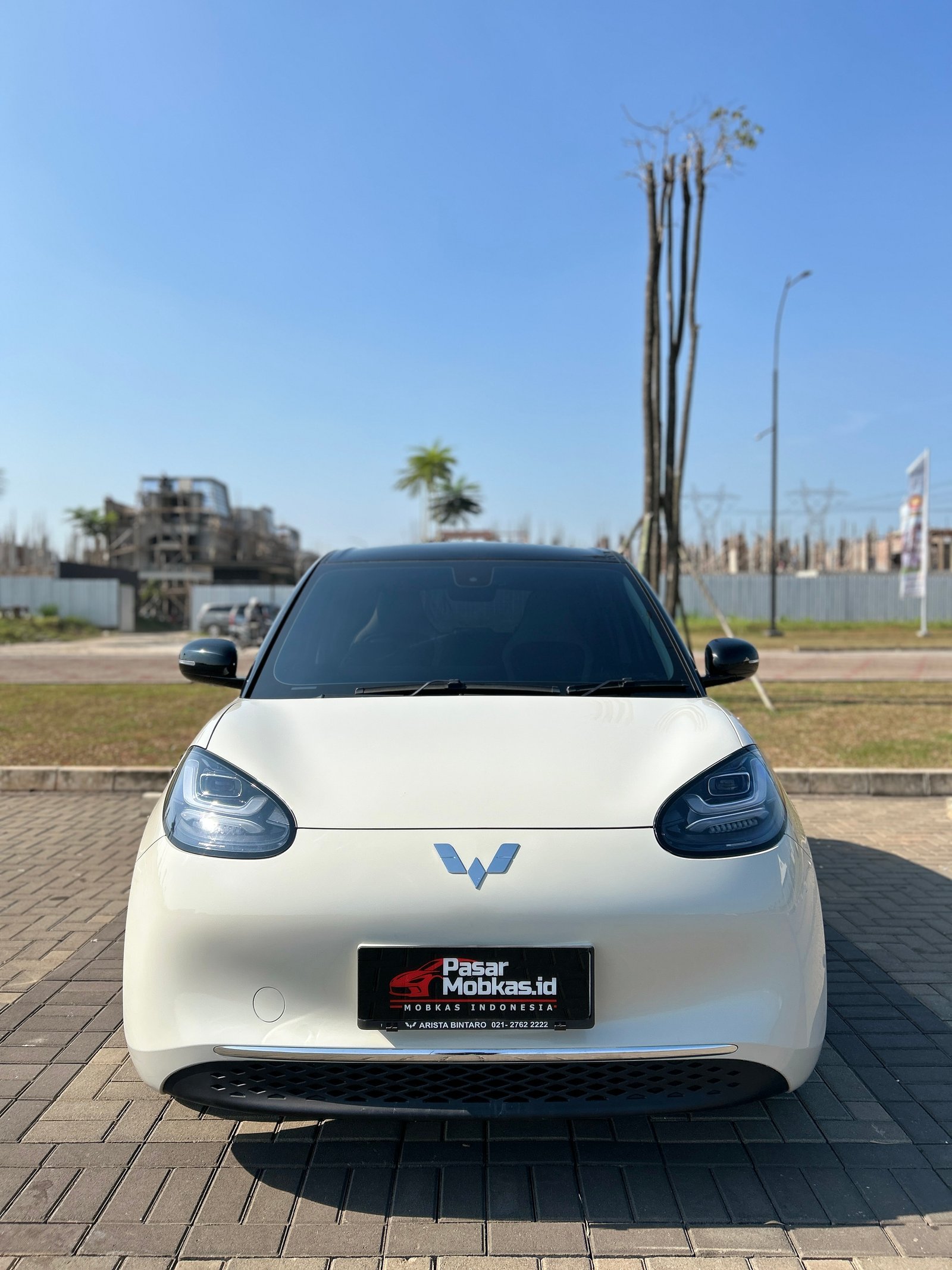 WULING BINGUO LONG RANGE 410